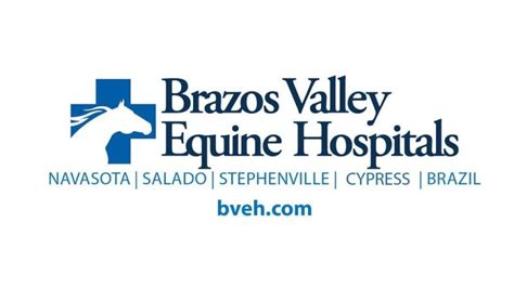 Brazos Valley Equine Hospitals .